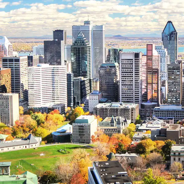 Montreal Dil Okulları